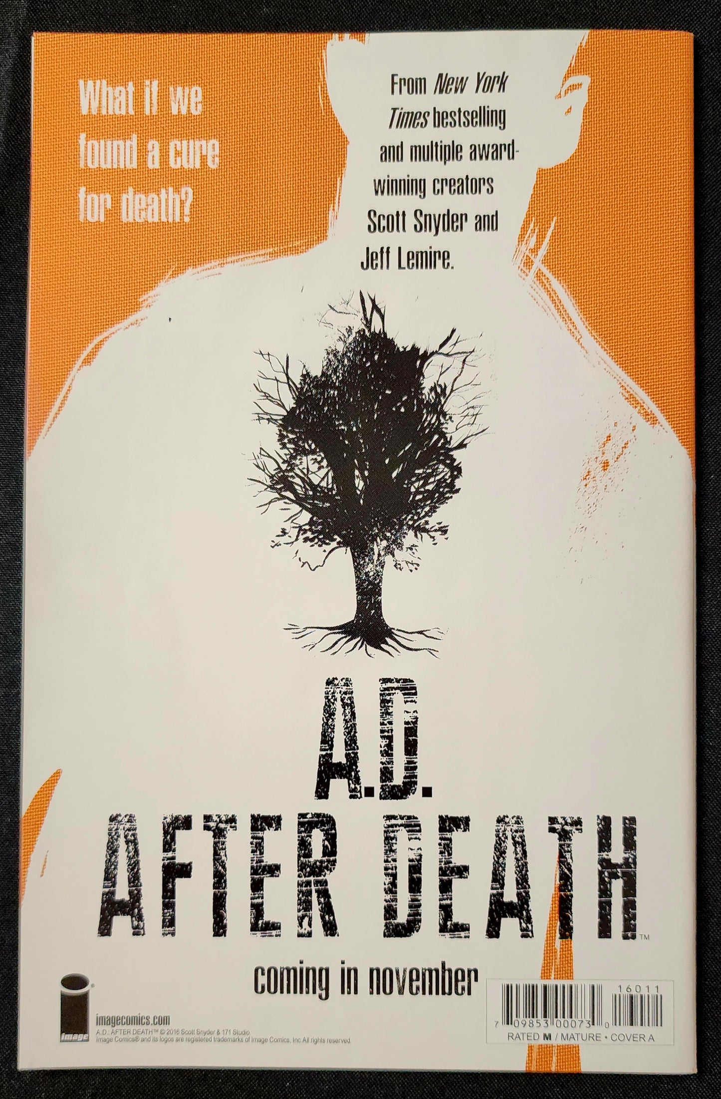 The Walking Dead #160 (NM)