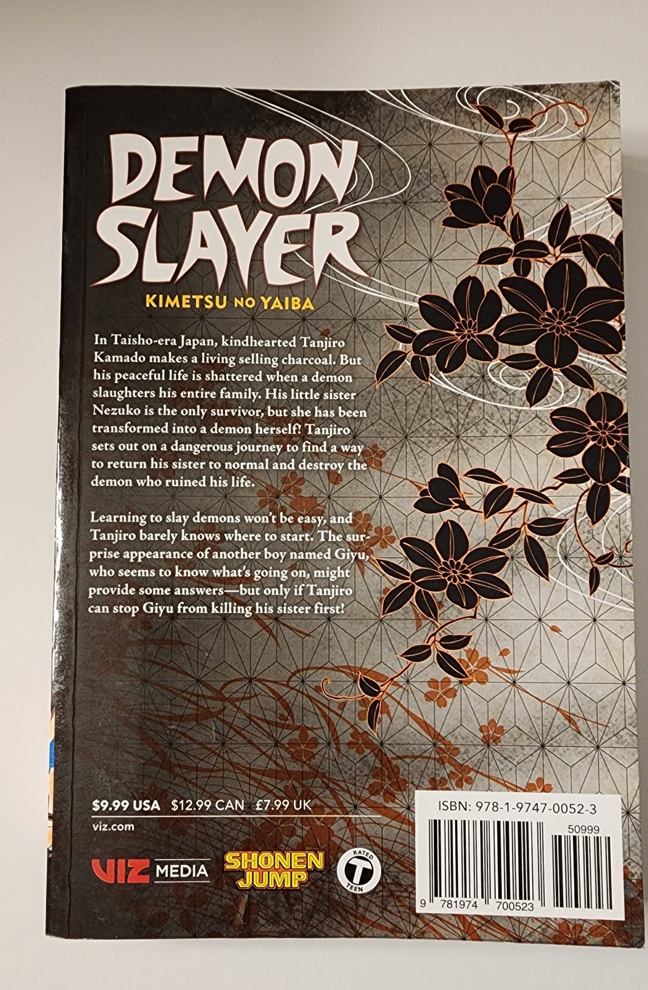 Demon Slayer Vol. 1