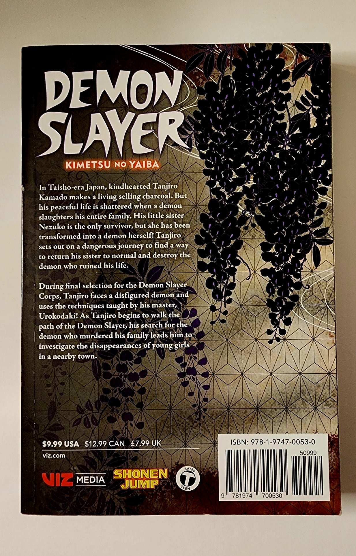 Demon Slayer Vol. 2