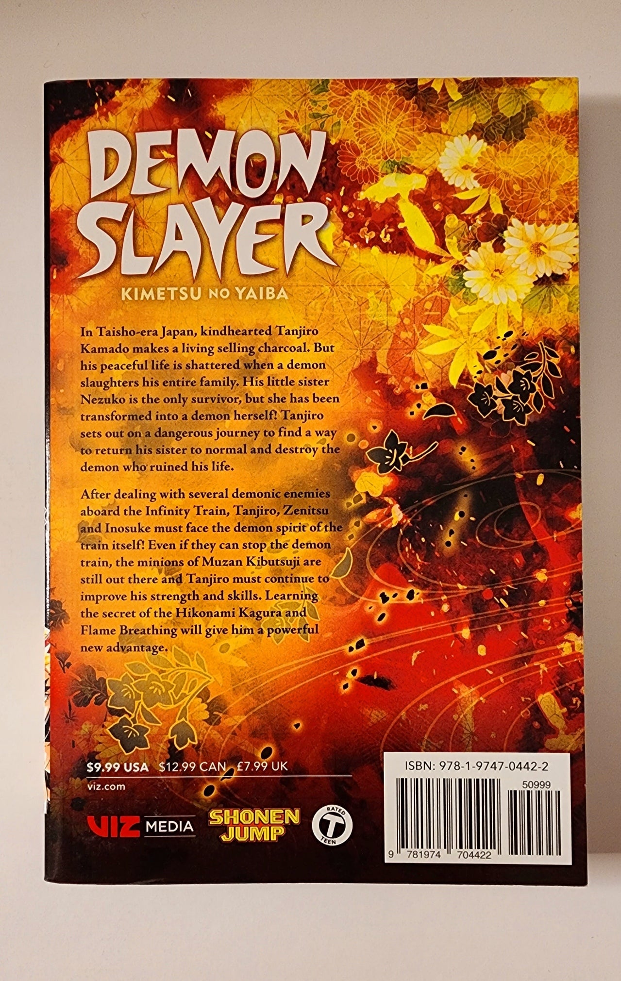 Demon Slayer Vol. 8