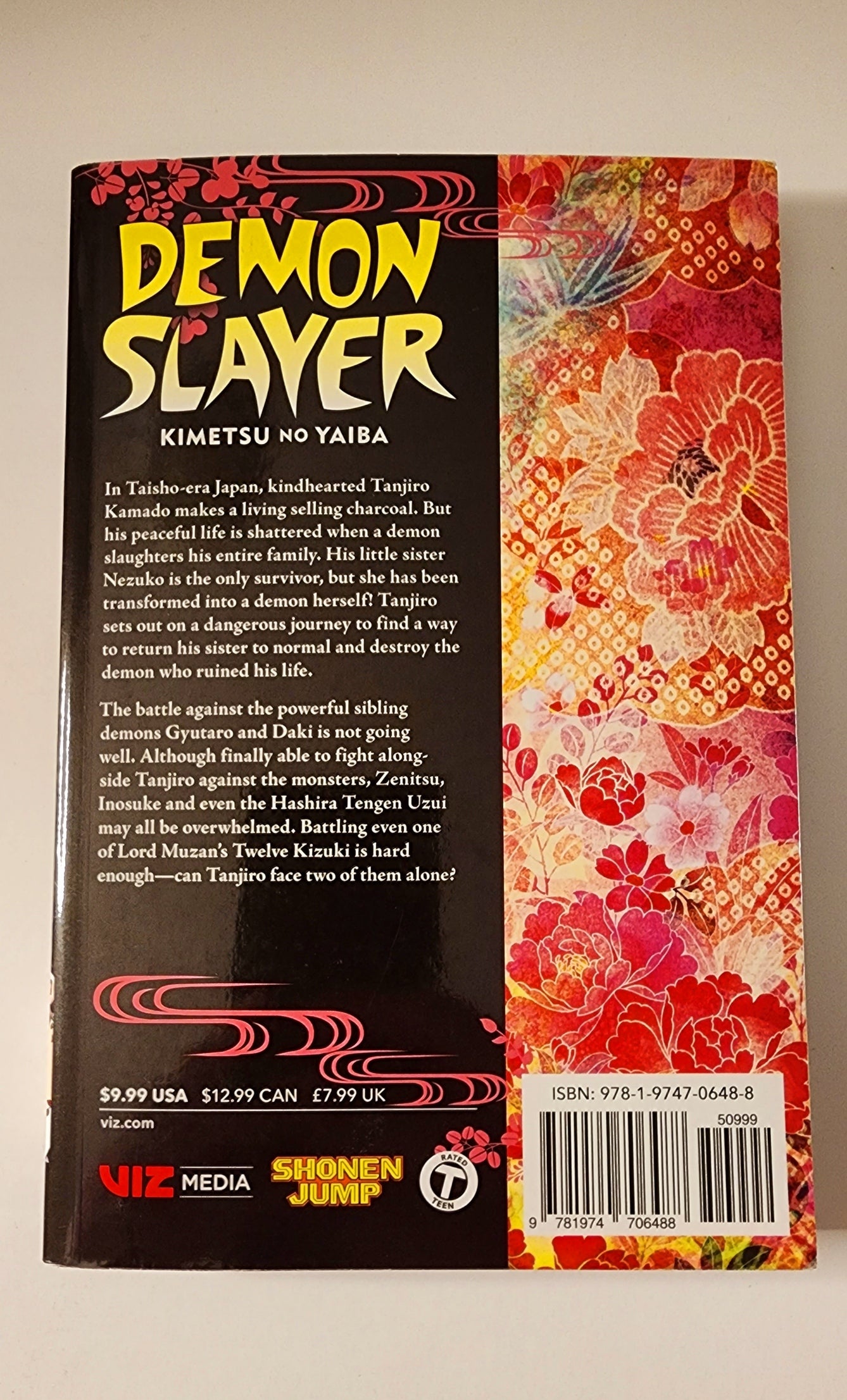 Demon Slayer Vol. 11