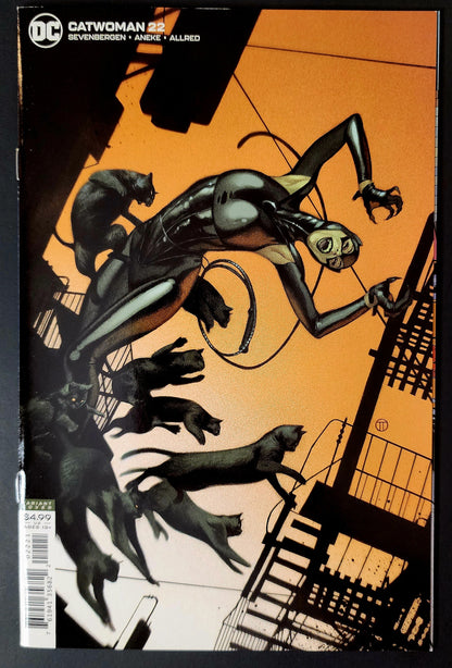 Catwoman (Vol. 5) #22 Cover B (NM)