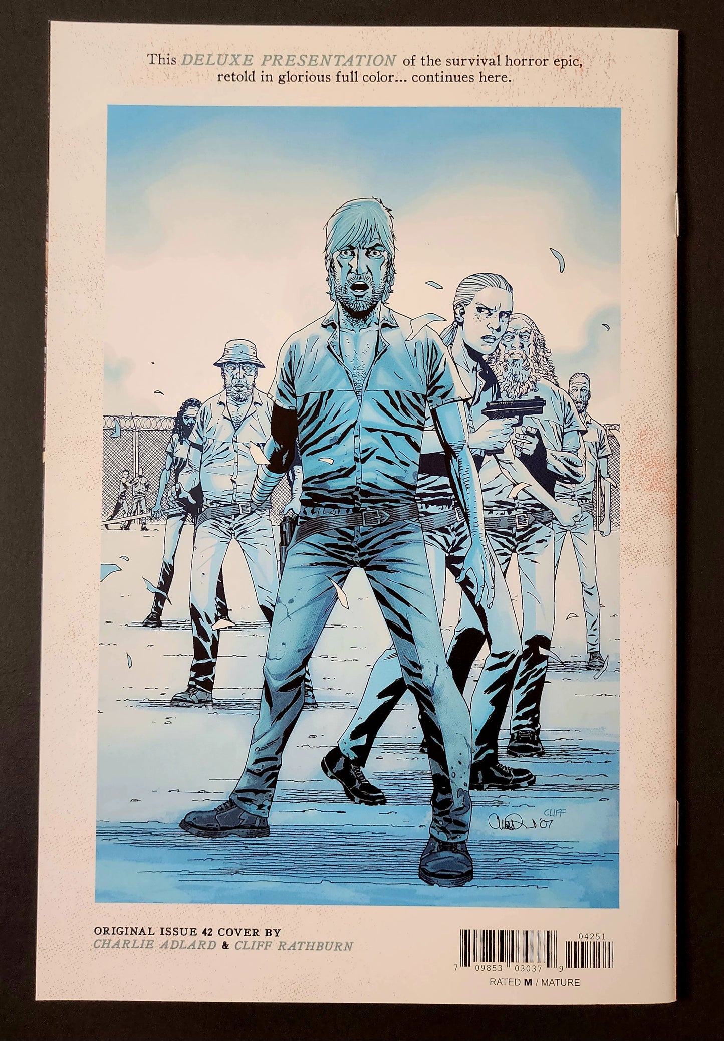 The Walking Dead Deluxe #42 Cover E (NM-)