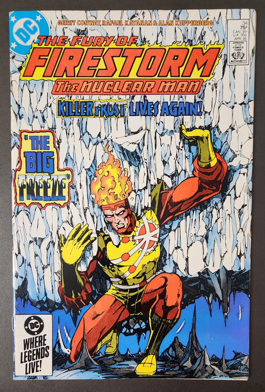 The Fury of Firestorm #34 (FN+)