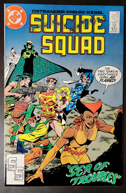 Suicide Squad #25 (VF)