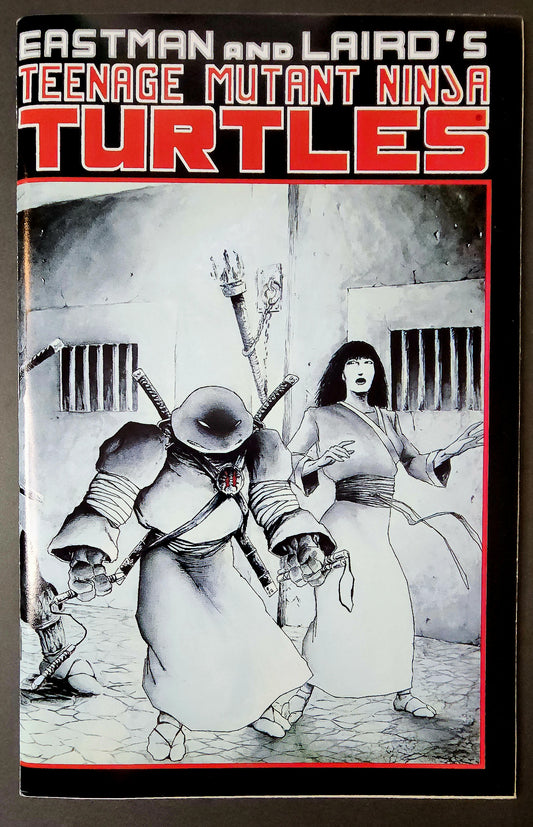 Teenage Mutant Ninja Turtles #17 (VF)