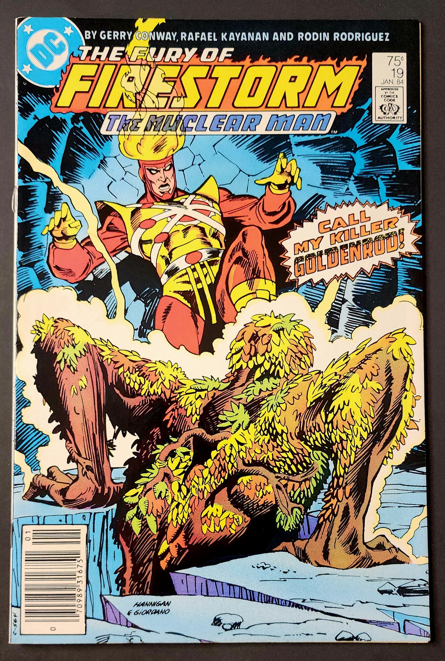 The Fury of Firestorm #19 (FN-)