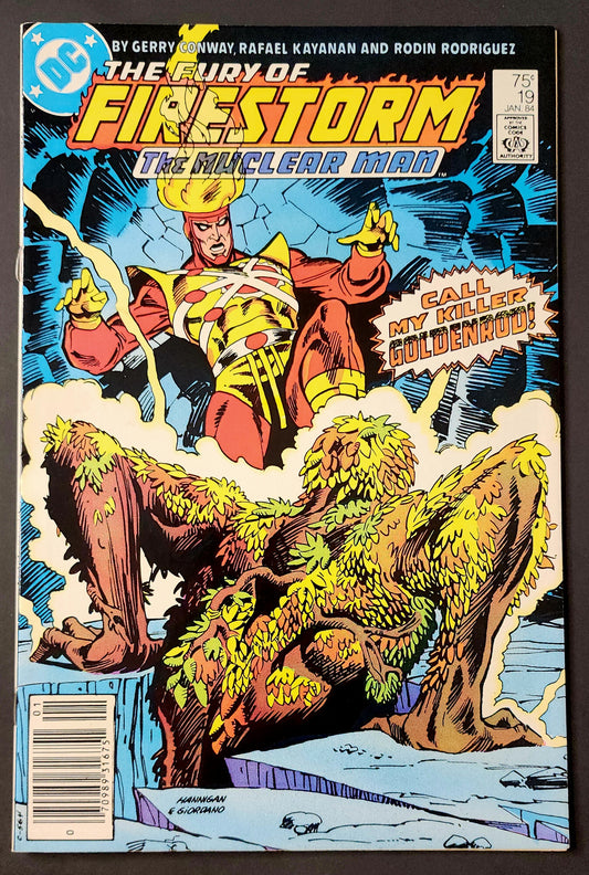 The Fury of Firestorm #19 (FN-)