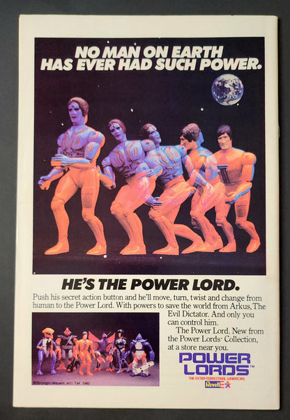 The Fury of Firestorm #19 (FN-)