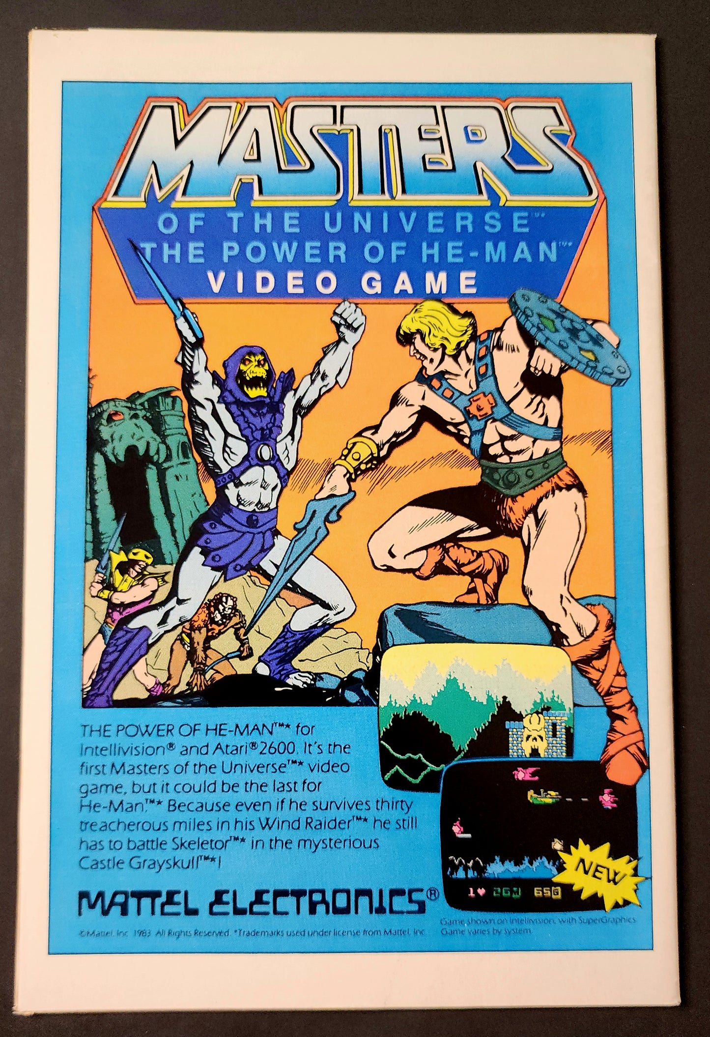 The Fury of Firestorm #22 (VG/FN)