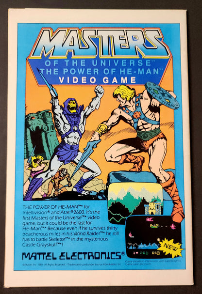 The Fury of Firestorm #22 (VG/FN)