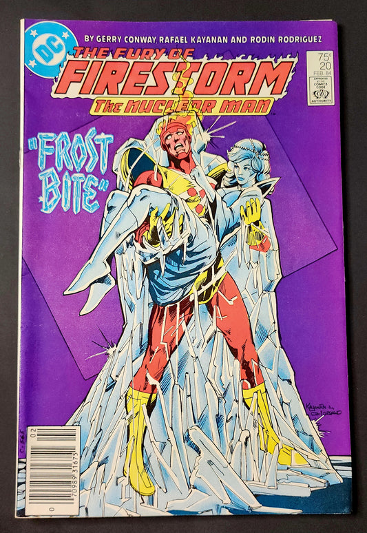 The Fury of Firestorm #20 (FN)