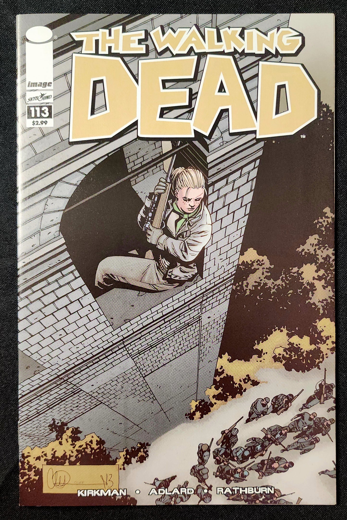 The Walking Dead #113 (NM)