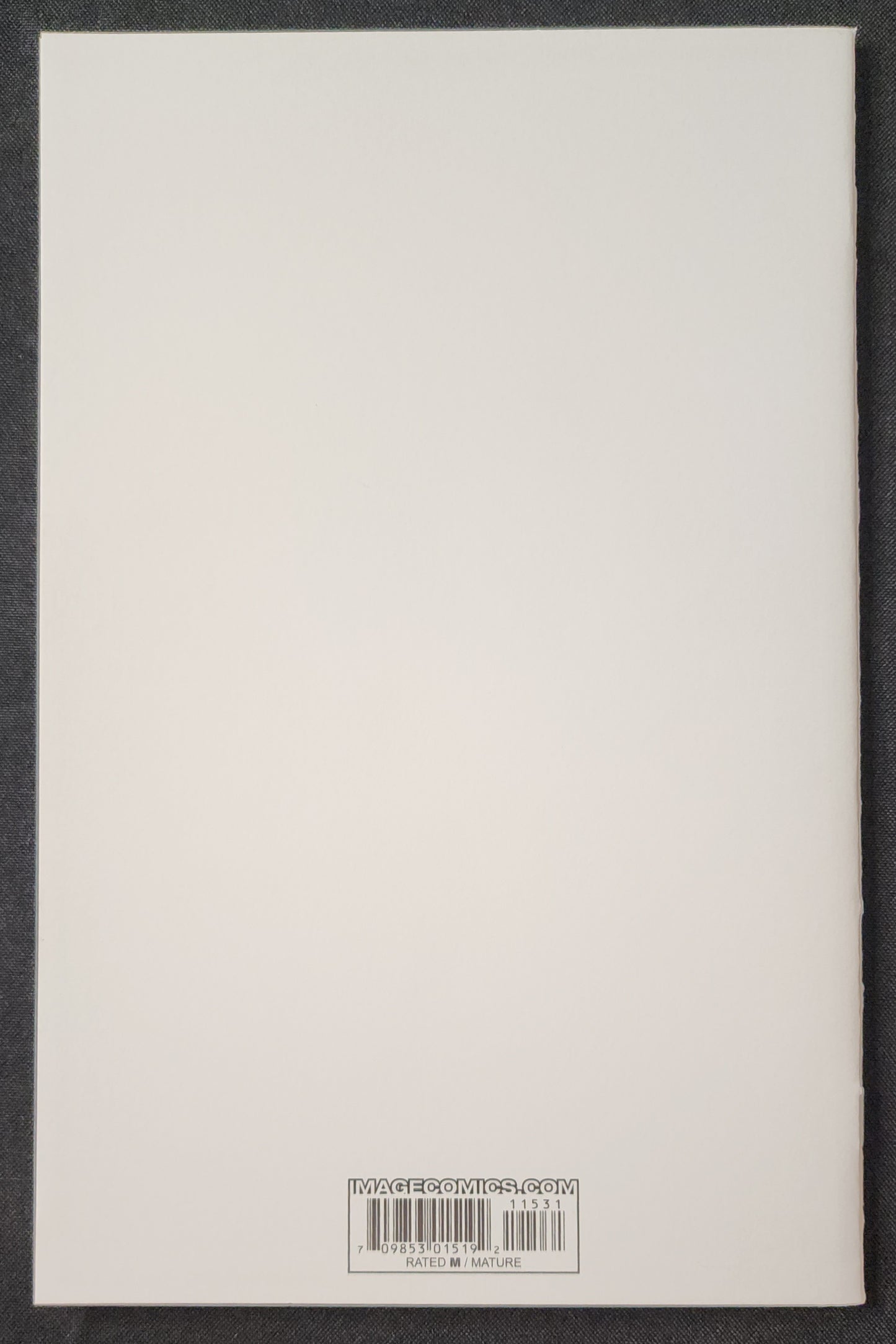 The Walking Dead #115 Cover L (NM)