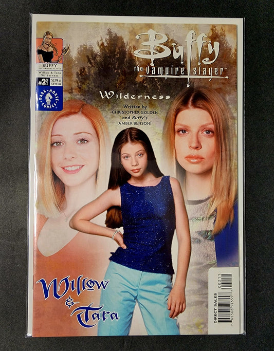 Buffy the Vampire Slayer: Willow & Tara: Wilderness #2 of 2 (VF-)
